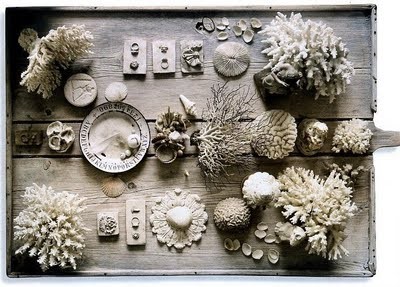 coral table